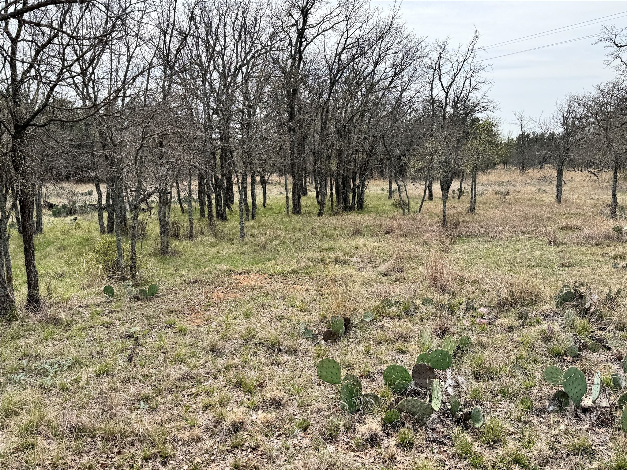 Tbd Lot 240 Feather Bay Drive Brownwood TX 76801