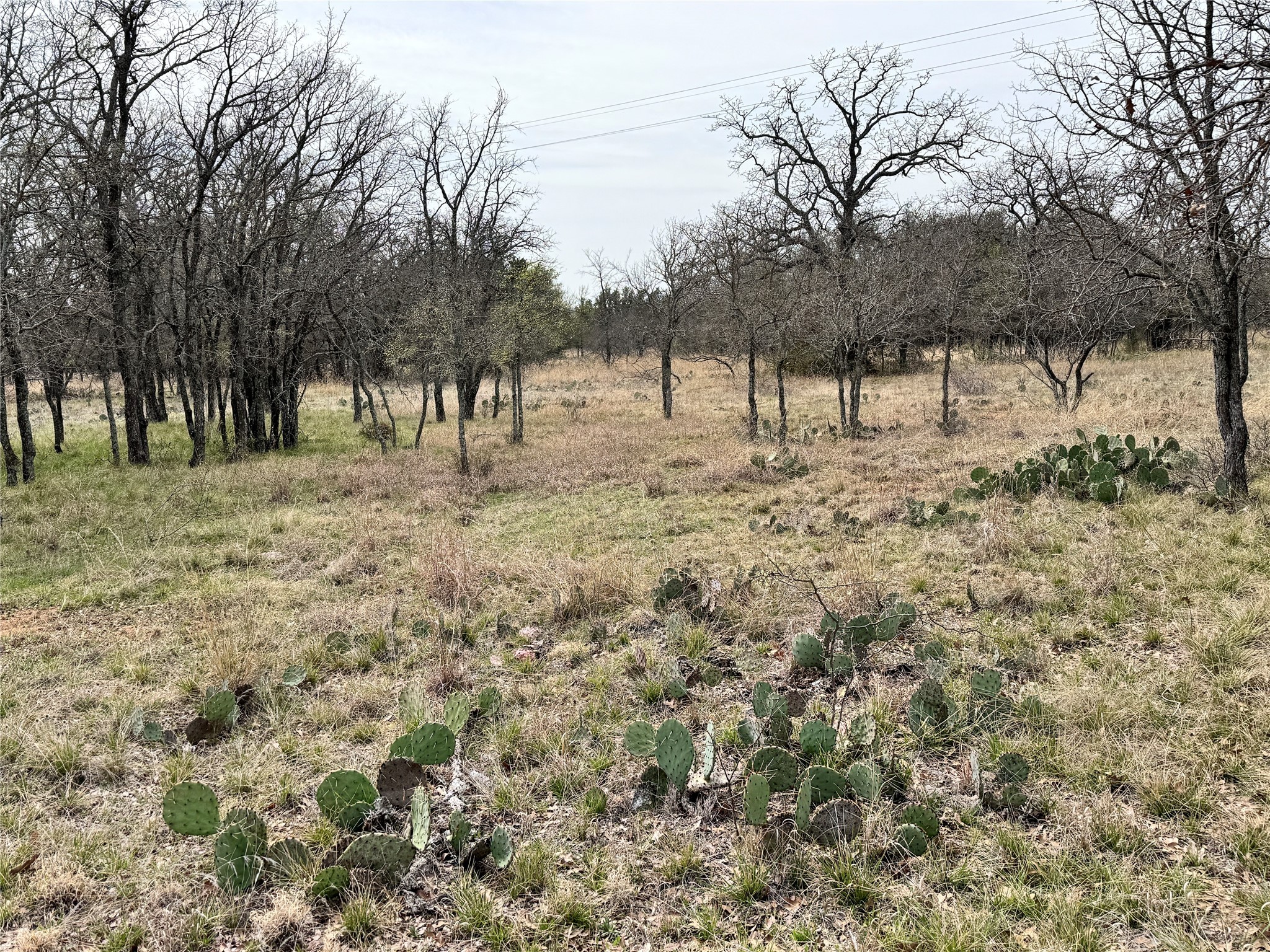 Tbd Lot 240 Feather Bay Drive Brownwood TX 76801