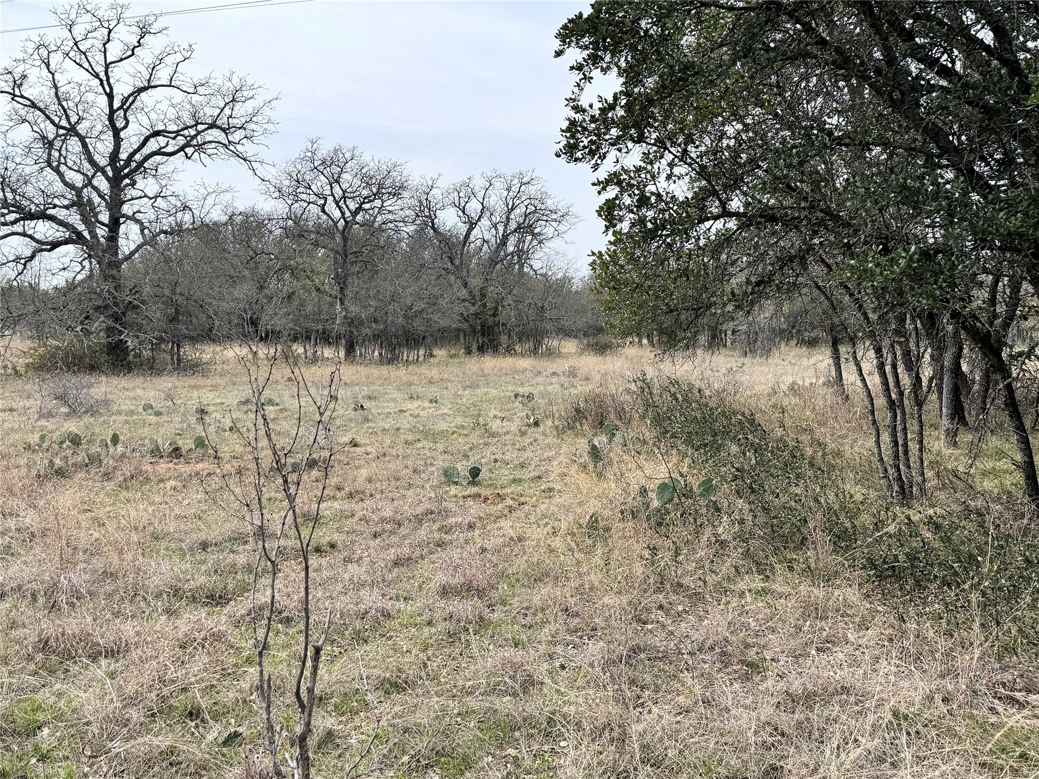 Tbd Lot 240 Feather Bay Drive Brownwood TX 76801