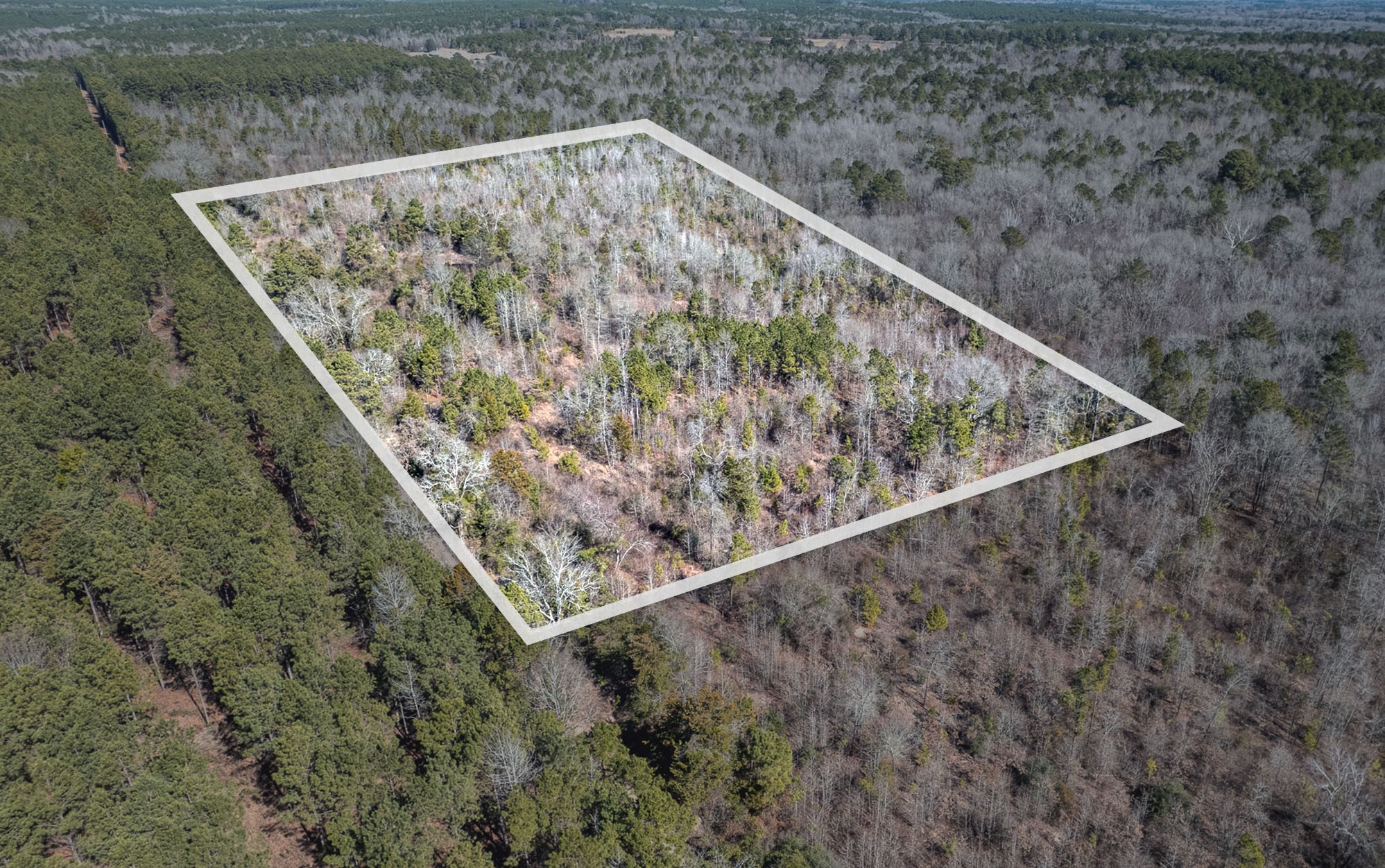 Tbd County Road 2752 Naples TX 75568
