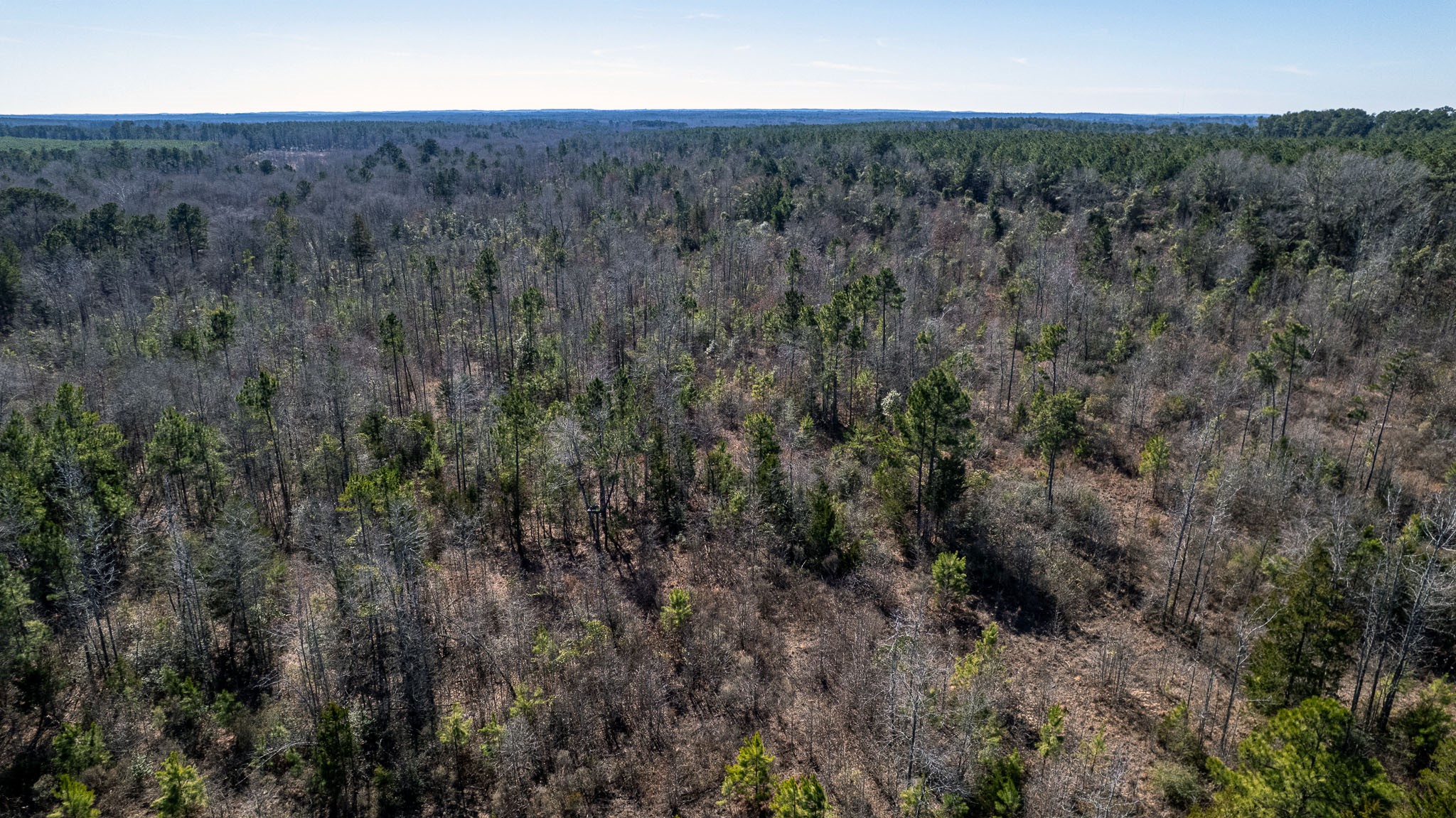 Tbd County Road 2752 Naples TX 75568