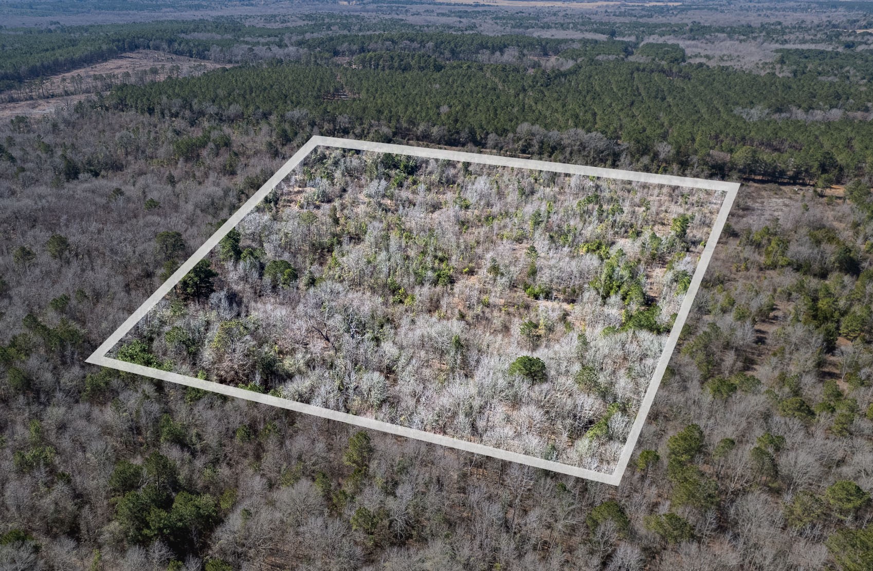 Tbd County Road 2752 Naples TX 75568