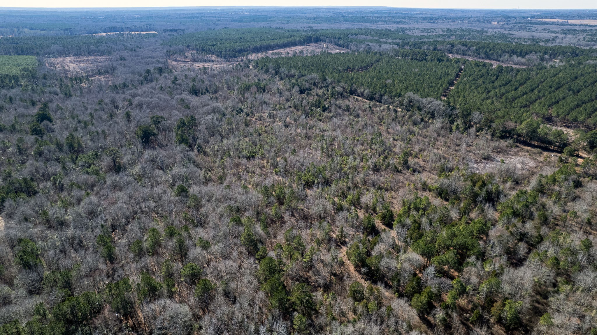 Tbd County Road 2752 Naples TX 75568