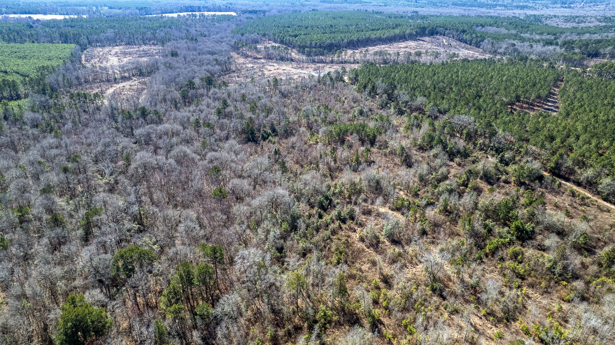 Tbd County Road 2752 Naples TX 75568