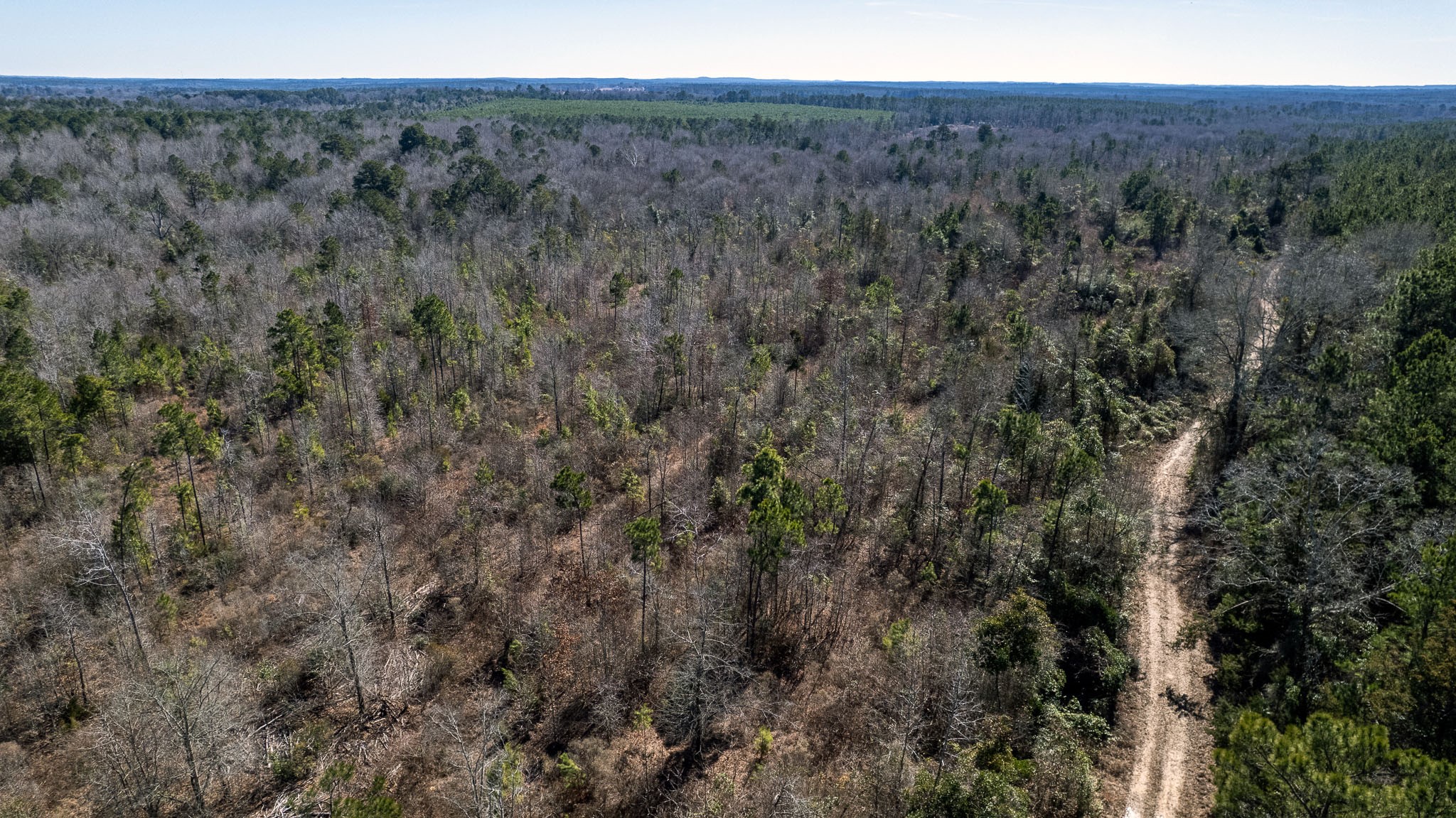 Tbd County Road 2752 Naples TX 75568