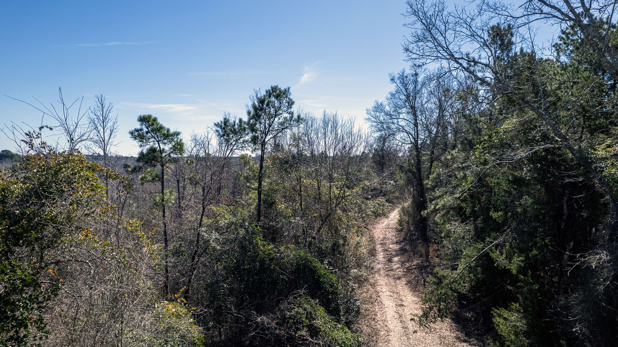 Tbd County Road 2752 Naples TX 75568