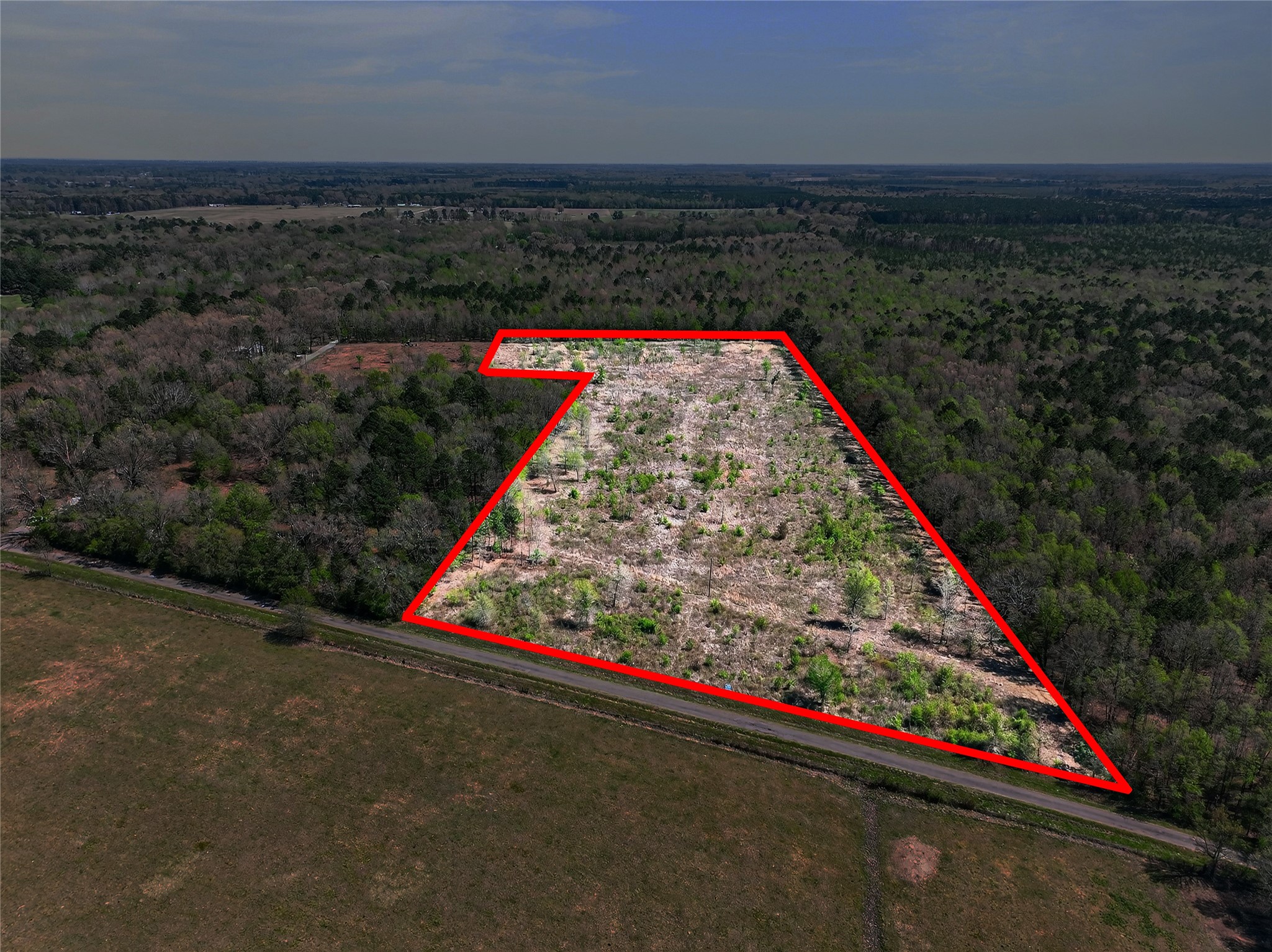 14 +/- Acres County Road 4223 Simms TX 75574