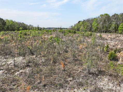 14 +/- Acres County Road 4223 Simms TX 75574