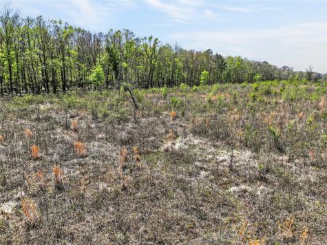14 +/- Acres County Road 4223 Simms TX 75574