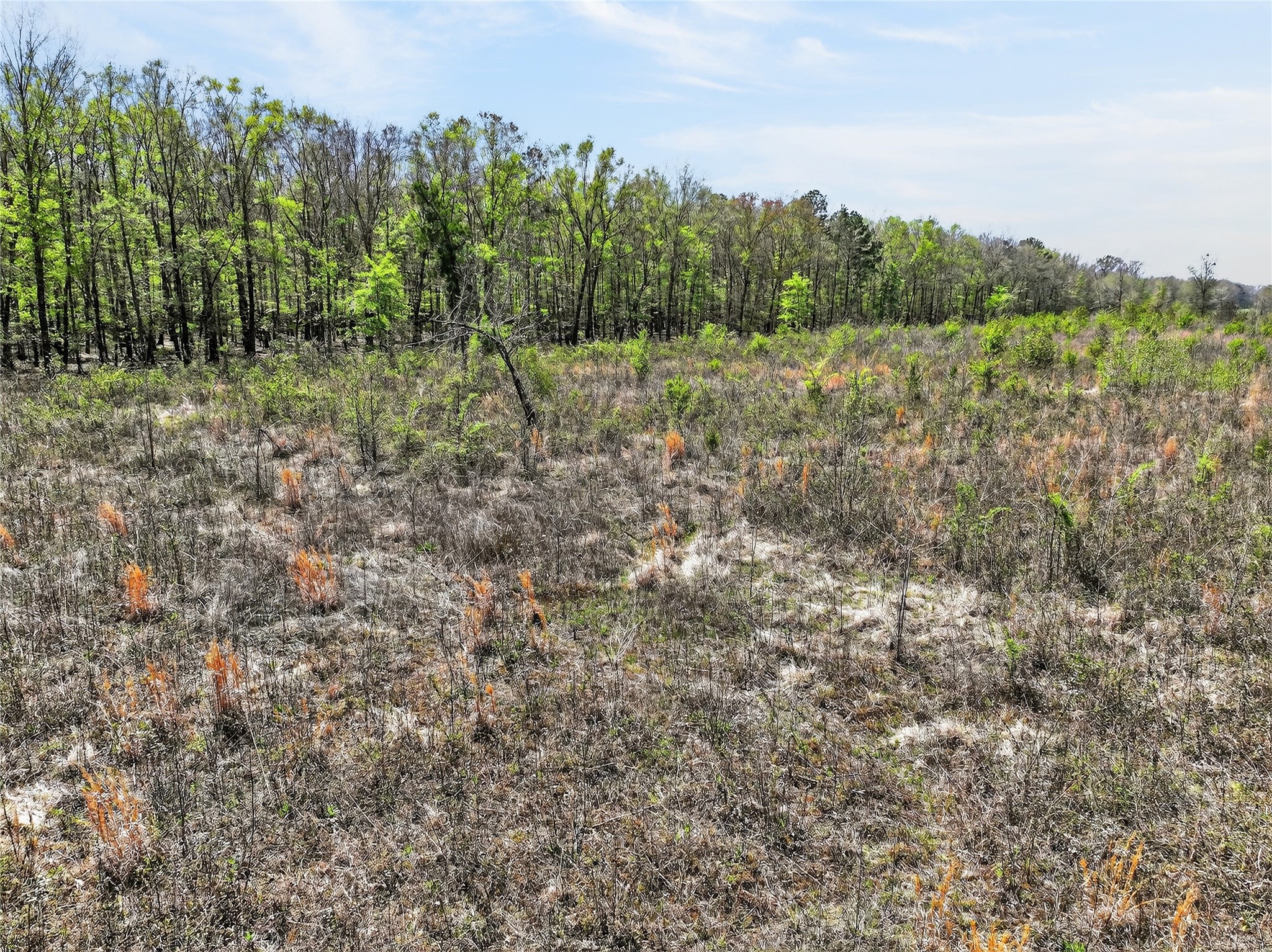 14 +/- Acres County Road 4223 Simms TX 75574