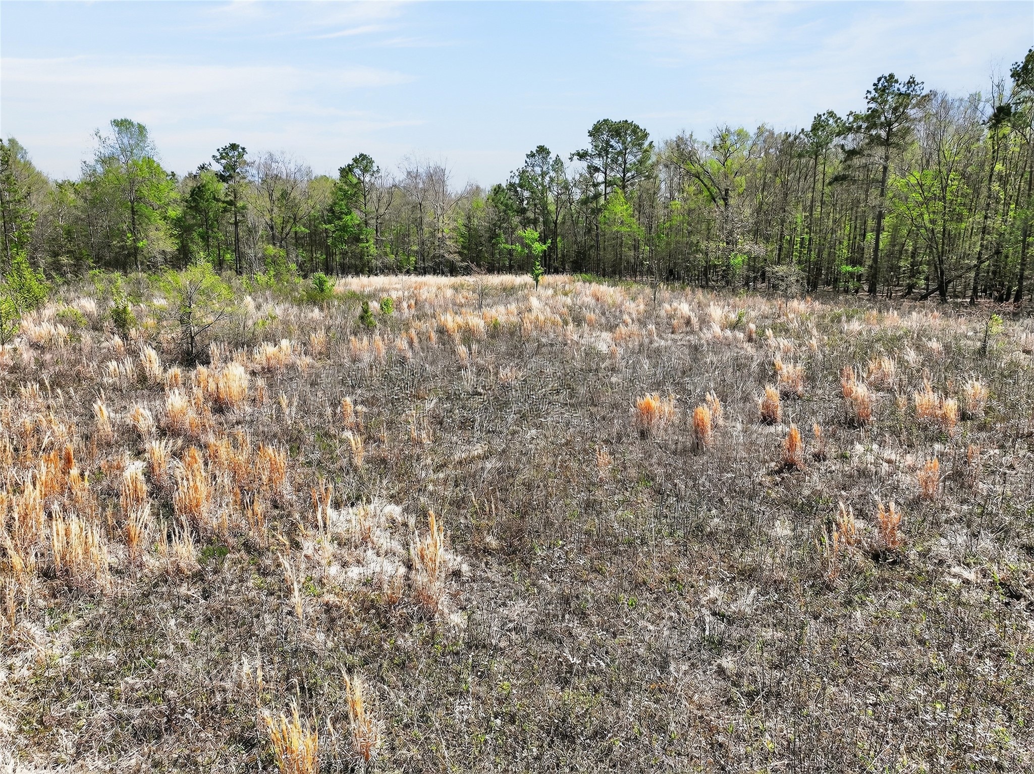 14 +/- Acres County Road 4223 Simms TX 75574