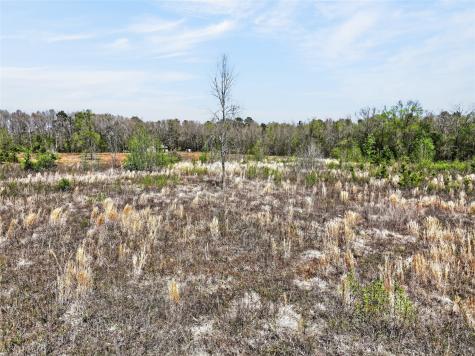14 +/- Acres County Road 4223 Simms TX 75574