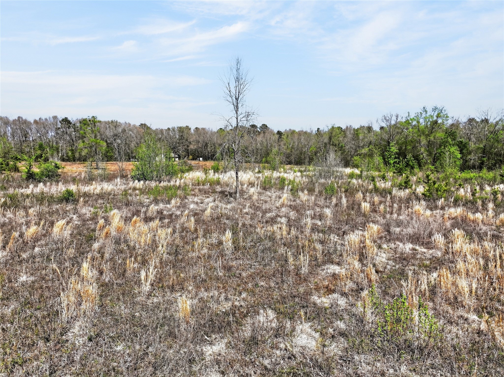 14 +/- Acres County Road 4223 Simms TX 75574
