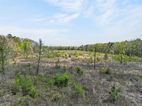 14 +/- Acres County Road 4223 Simms TX 75574