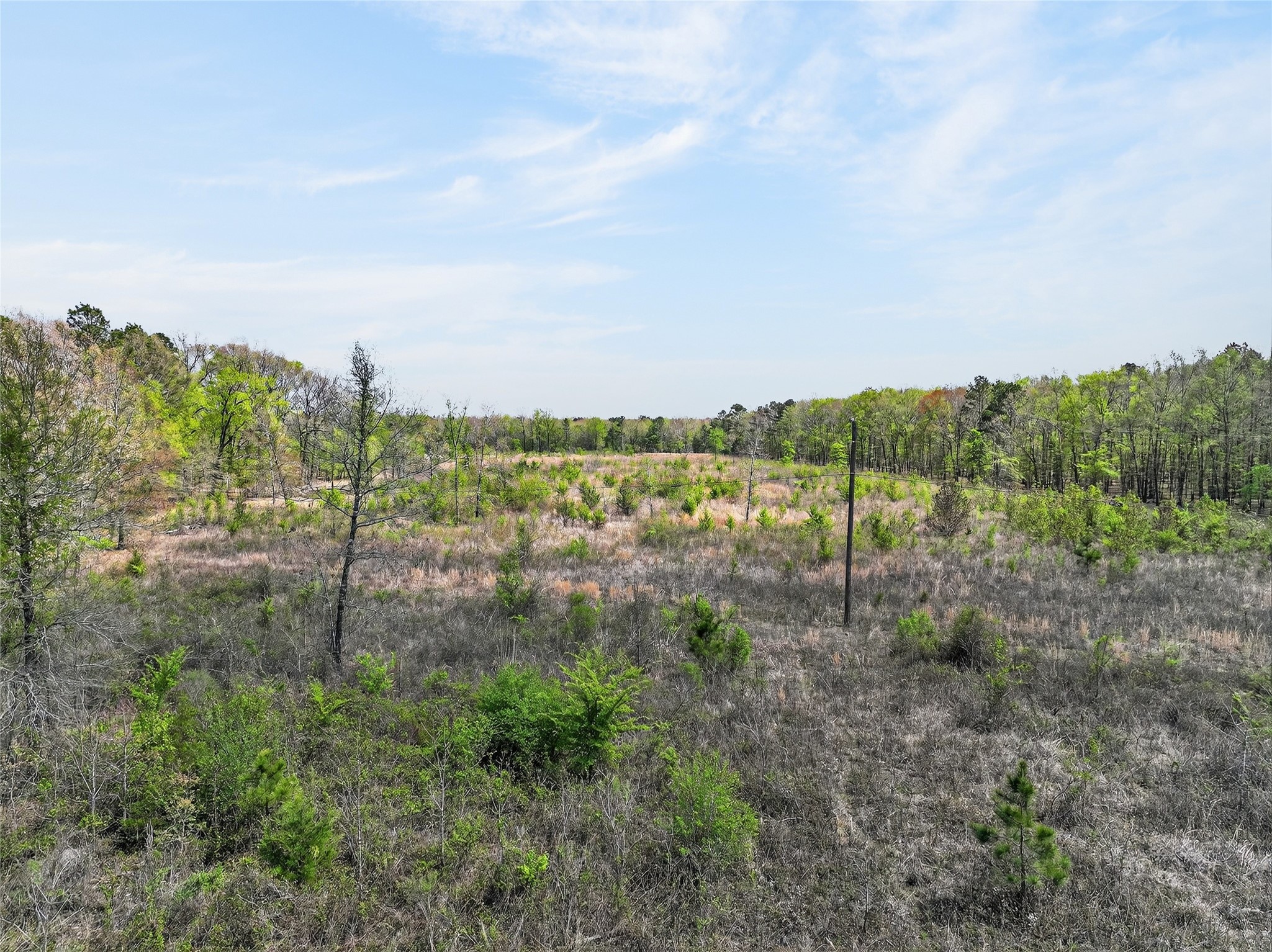 14 +/- Acres County Road 4223 Simms TX 75574