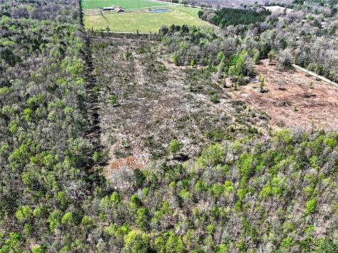 14 +/- Acres County Road 4223 Simms TX 75574
