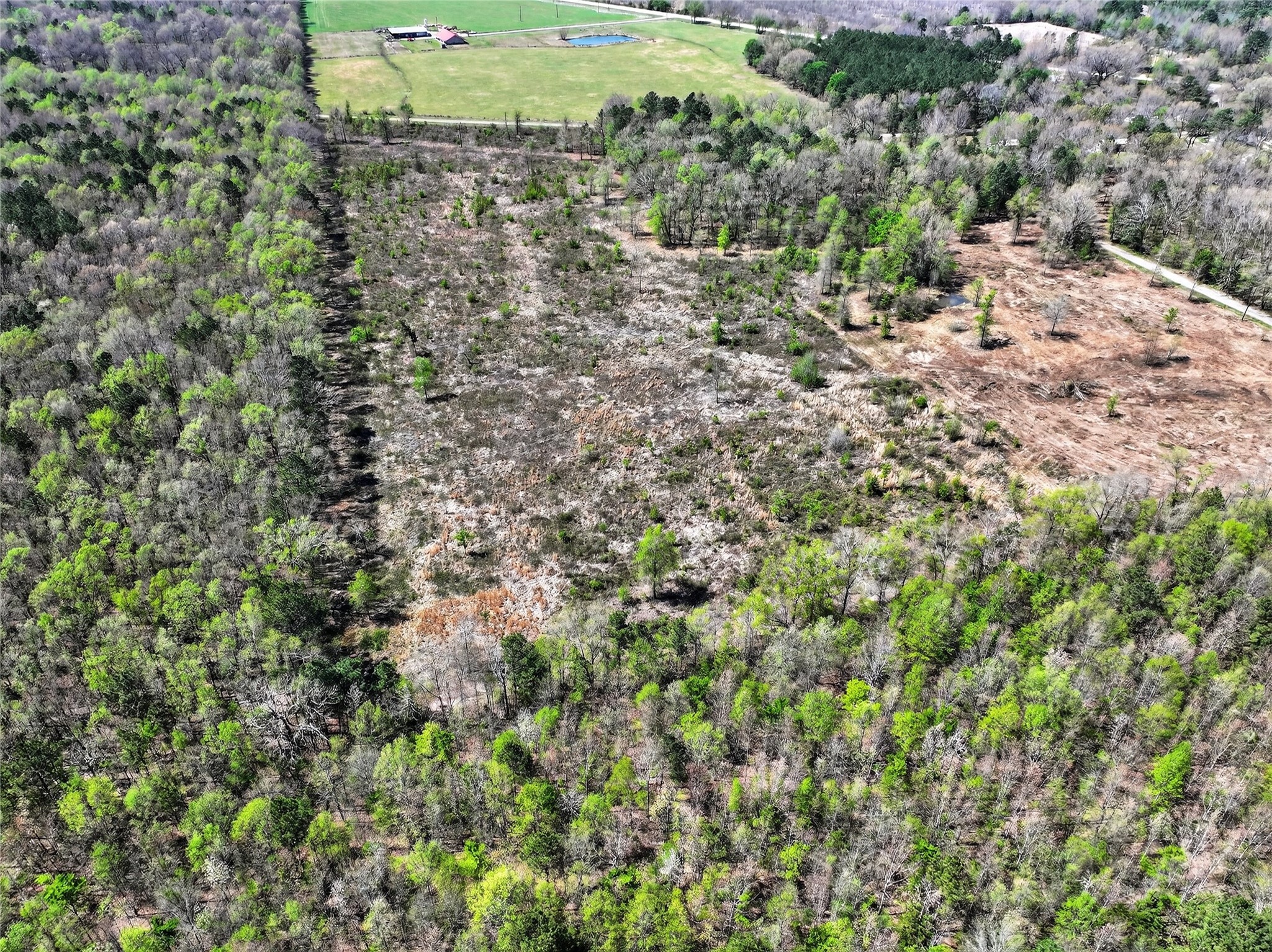 14 +/- Acres County Road 4223 Simms TX 75574