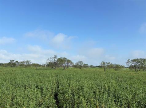 4363 Fm-1126 Corsicana TX 75110