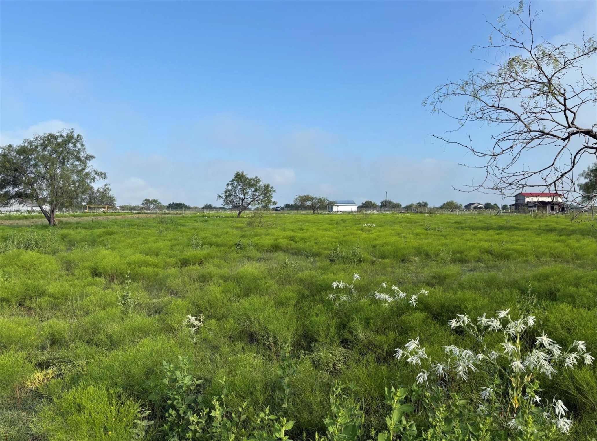 4363 Fm-1126 Corsicana TX 75110