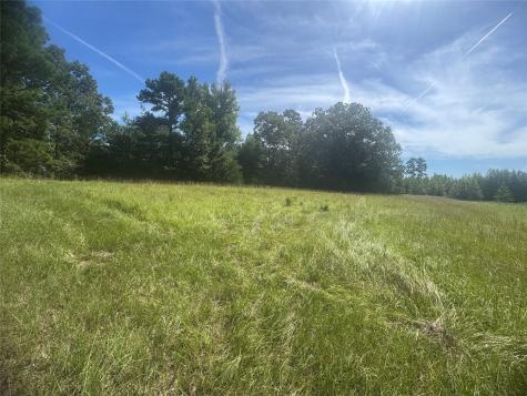 20.869 Ac Cr 4426 Winnsboro TX 75494