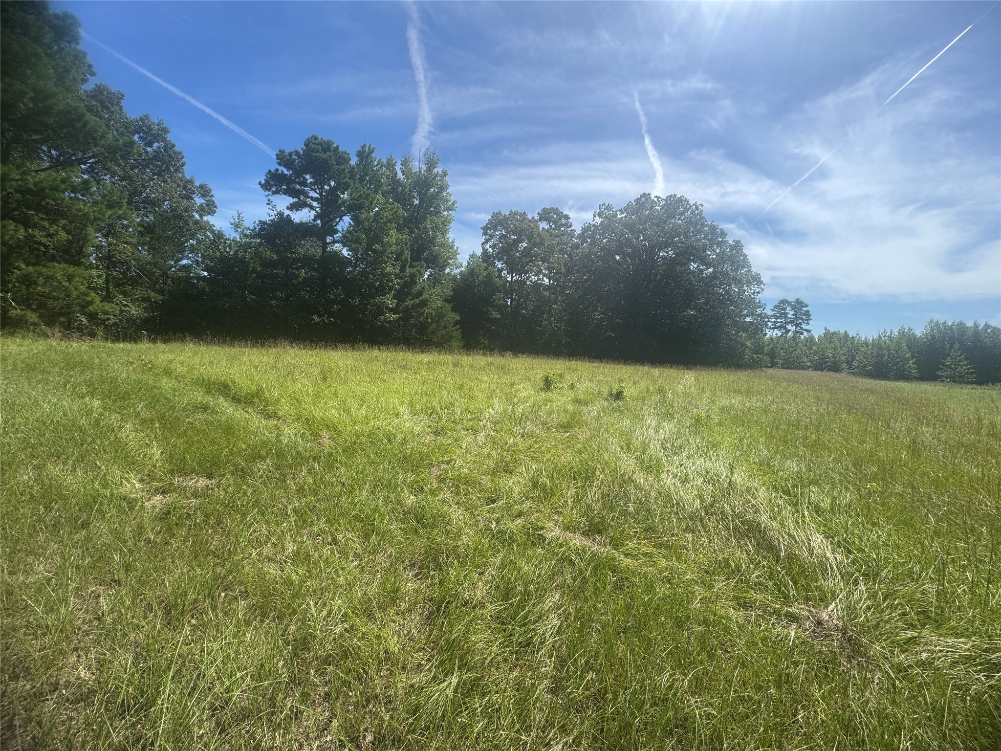 20.869 Ac Cr 4426 Winnsboro TX 75494