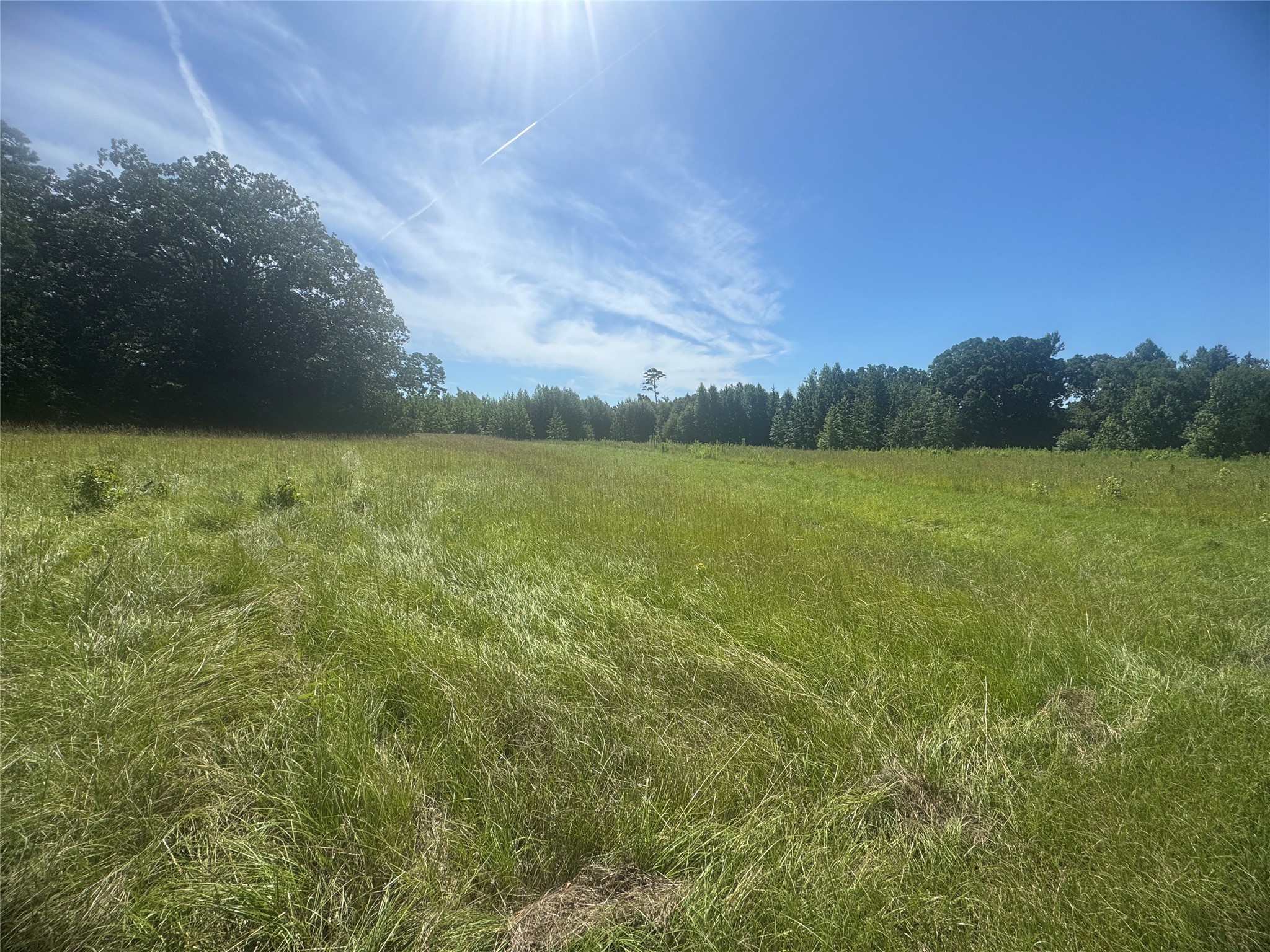 20.869 Ac Cr 4426 Winnsboro TX 75494