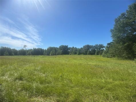 20.869 Ac Cr 4426 Winnsboro TX 75494