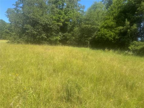 20.869 Ac Cr 4426 Winnsboro TX 75494