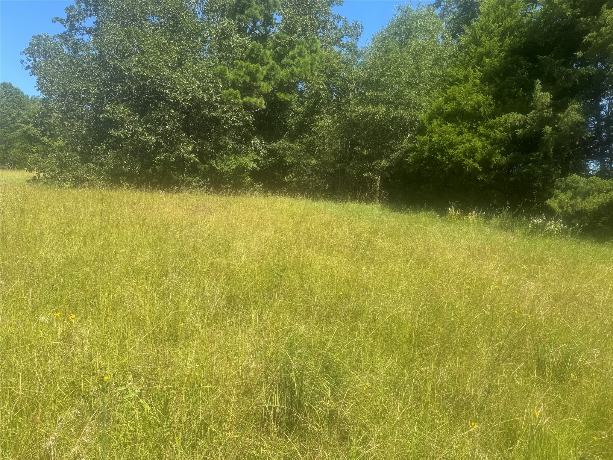 20.869 Ac Cr 4426 Winnsboro TX 75494