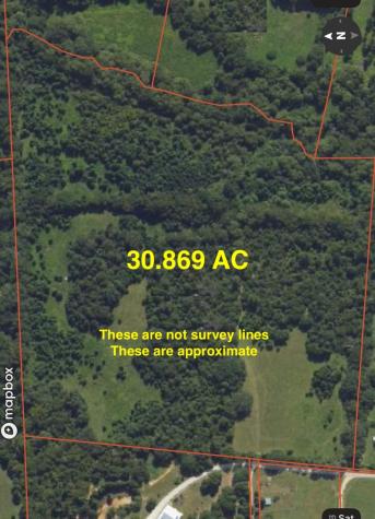 20.869 Ac Cr 4426 Winnsboro TX 75494