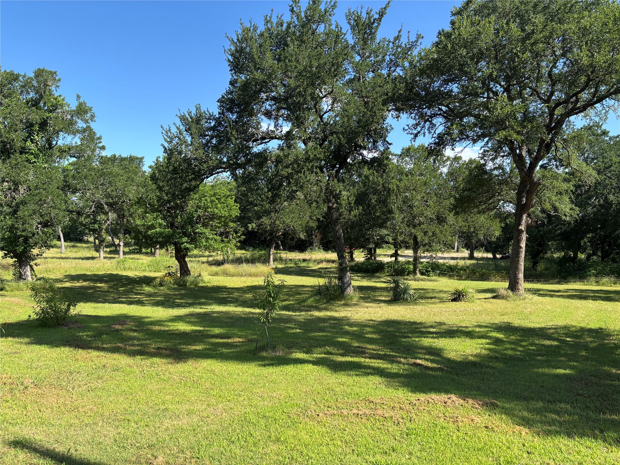 0000 Tbd E Morgan Street Denison TX 75021