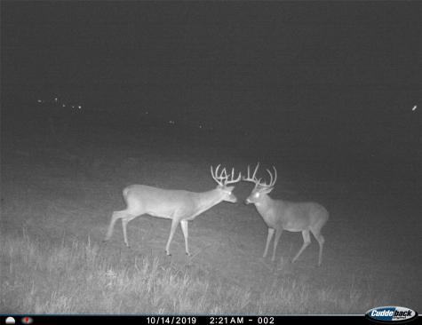 TBD Fm 367 Electra TX 76360
