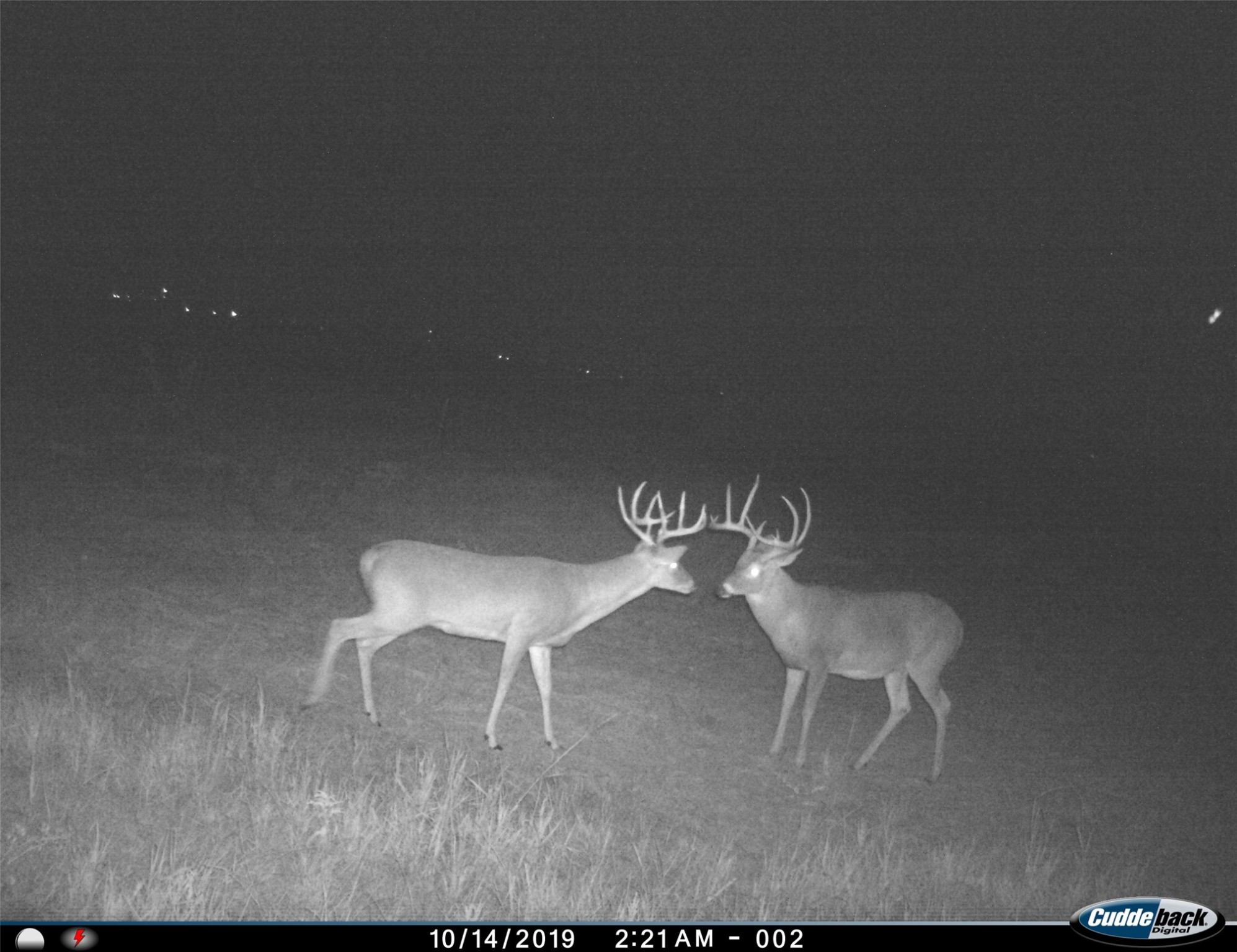 Tbd Fm 367 Electra TX 76360