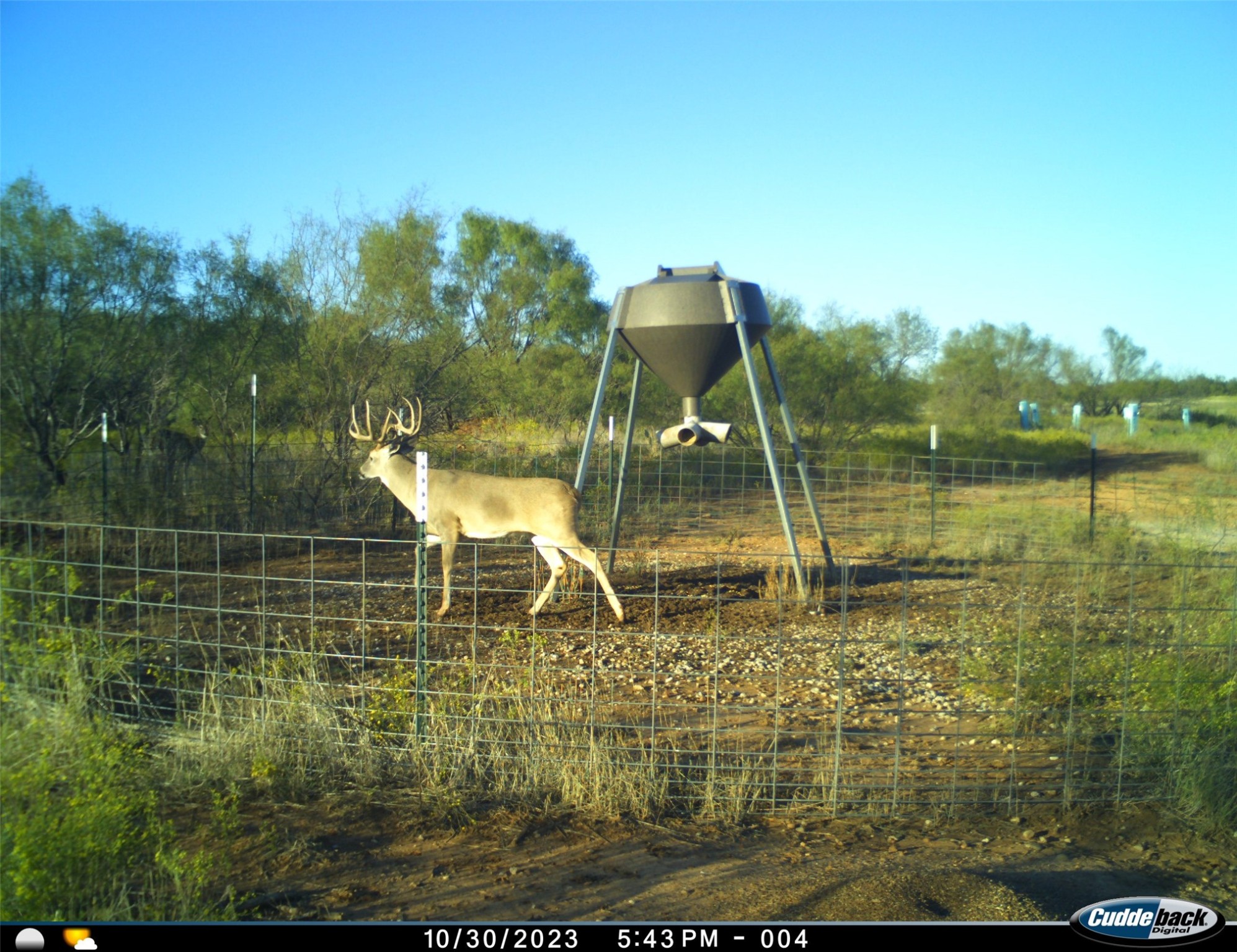 Tbd Fm 367 Electra TX 76360
