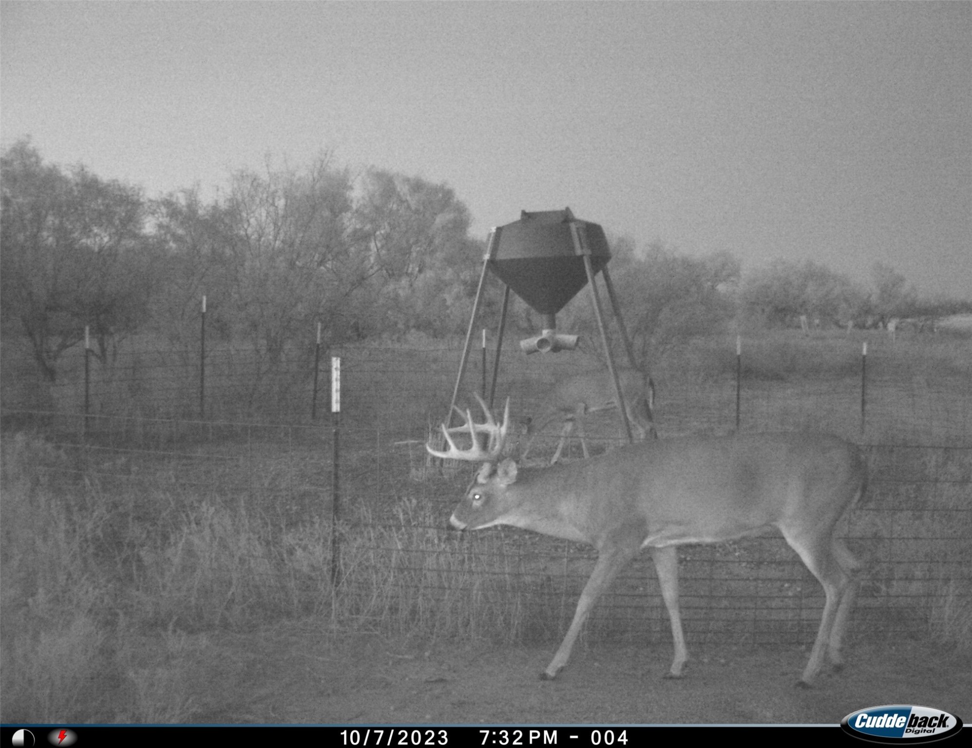 Tbd Fm 367 Electra TX 76360