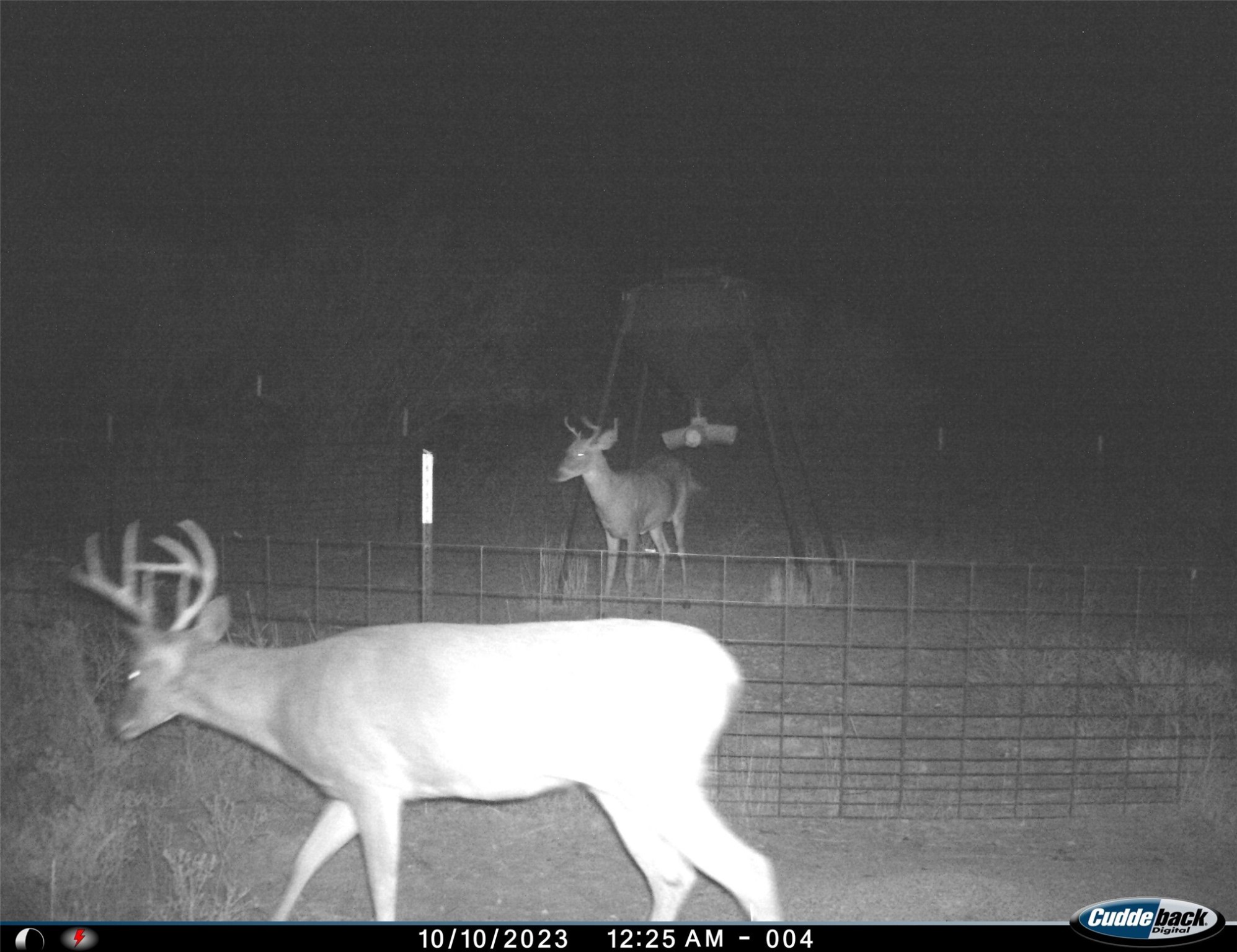Tbd Fm 367 Electra TX 76360