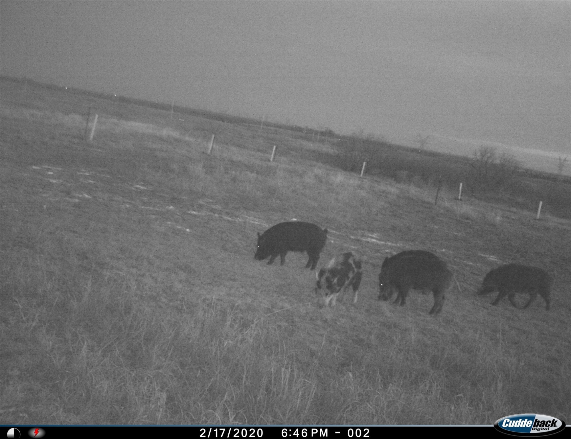 Tbd Fm 367 Electra TX 76360