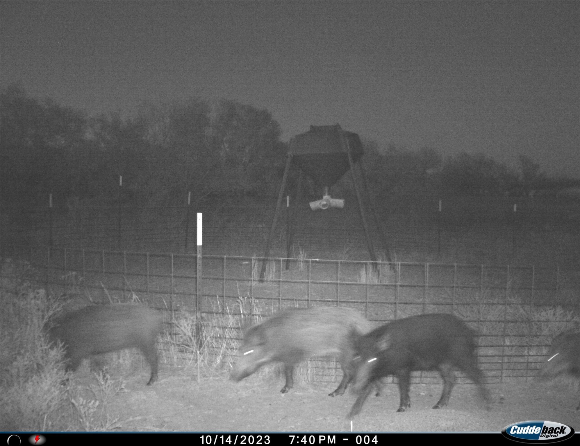 Tbd Fm 367 Electra TX 76360