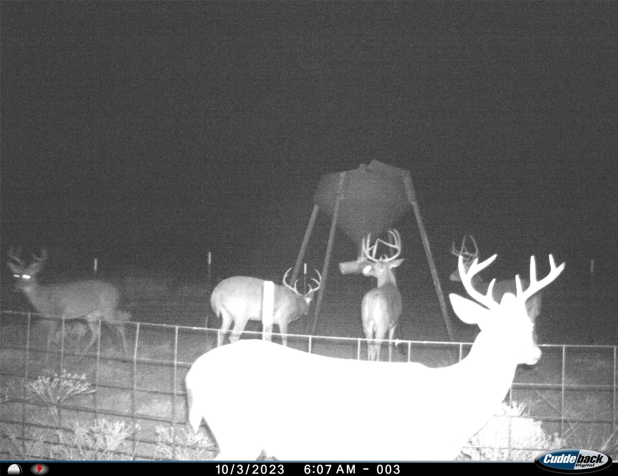 Tbd Fm 367 Electra TX 76360