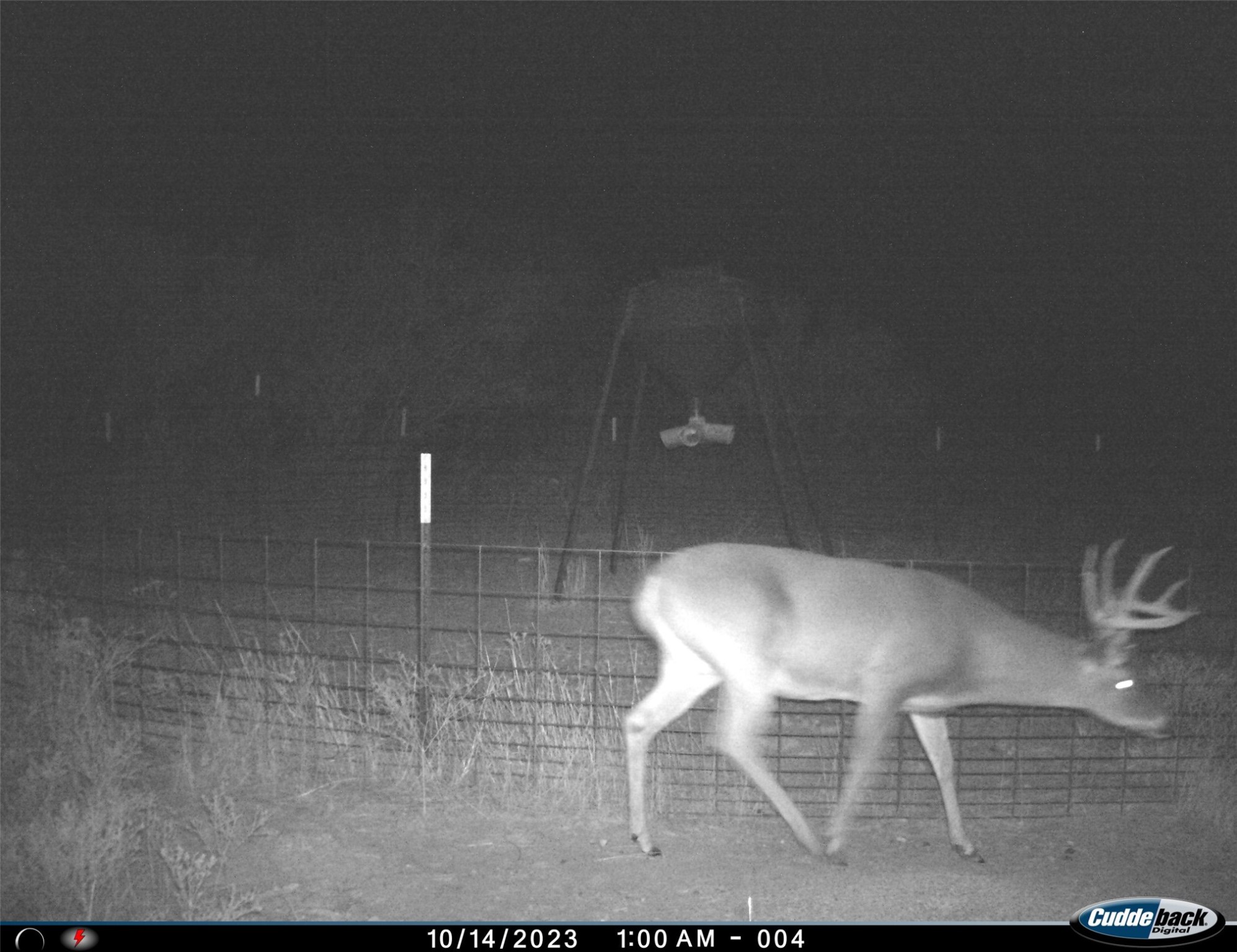 Tbd Fm 367 Electra TX 76360