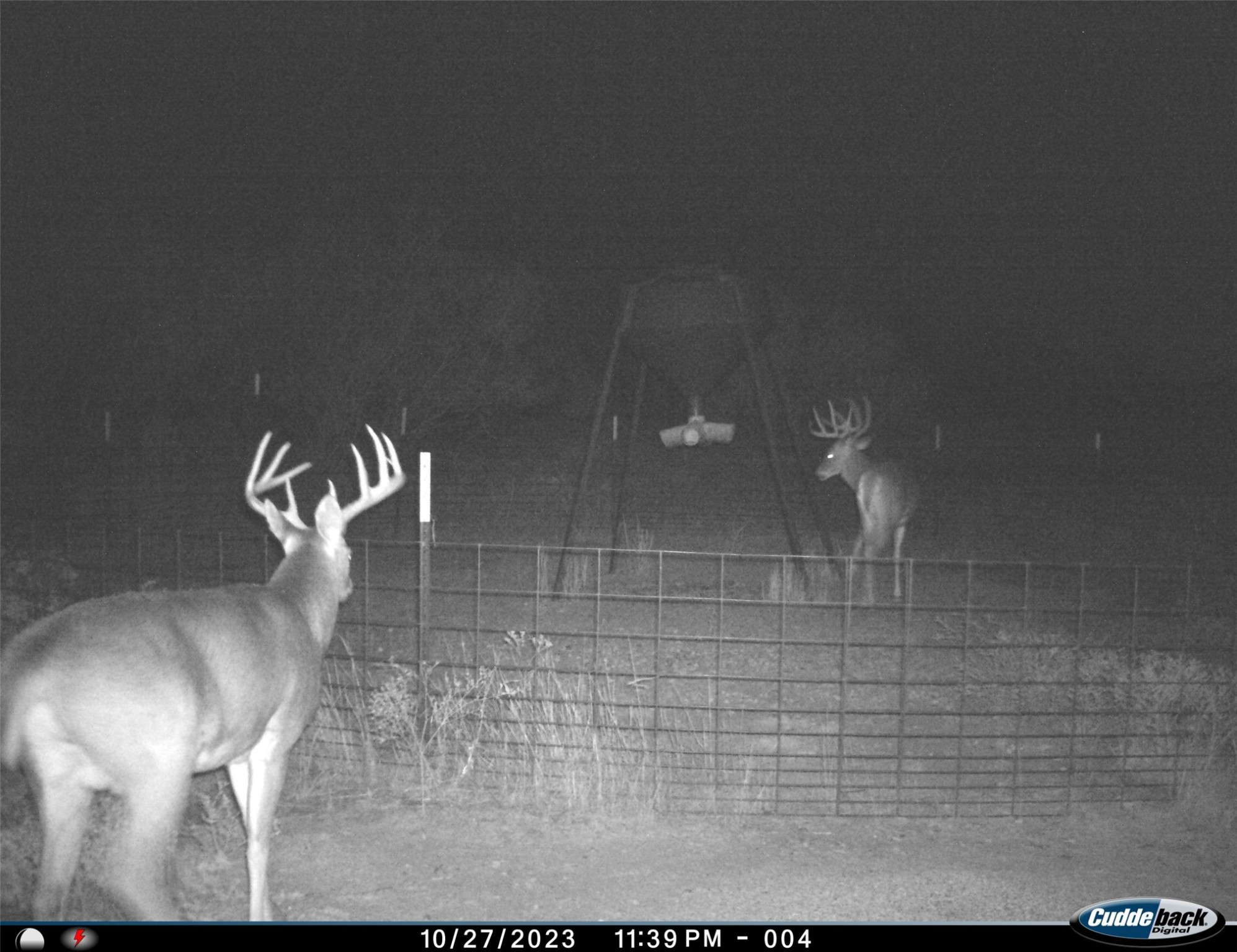Tbd Fm 367 Electra TX 76360
