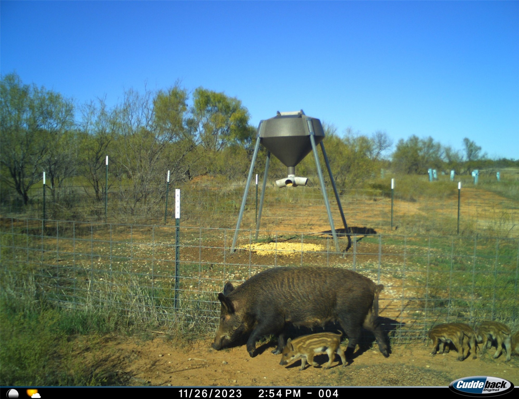 Tbd Fm 367 Electra TX 76360