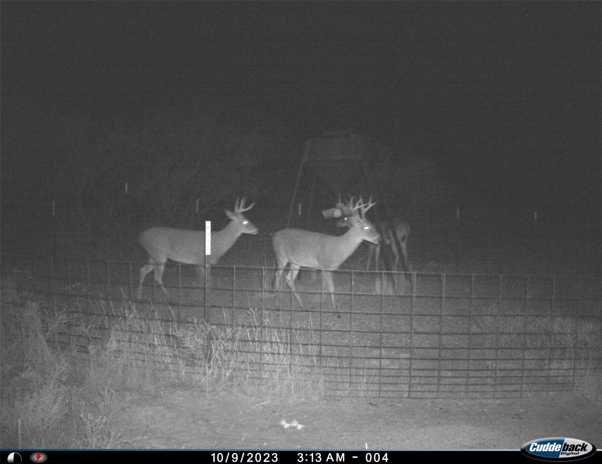 Tbd Fm 367 Electra TX 76360