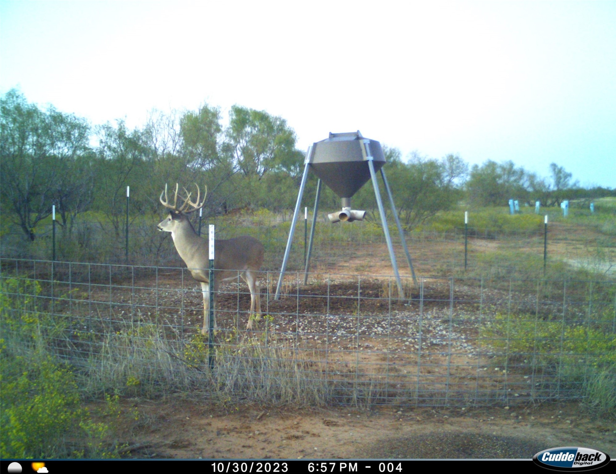 Tbd Fm 367 Electra TX 76360