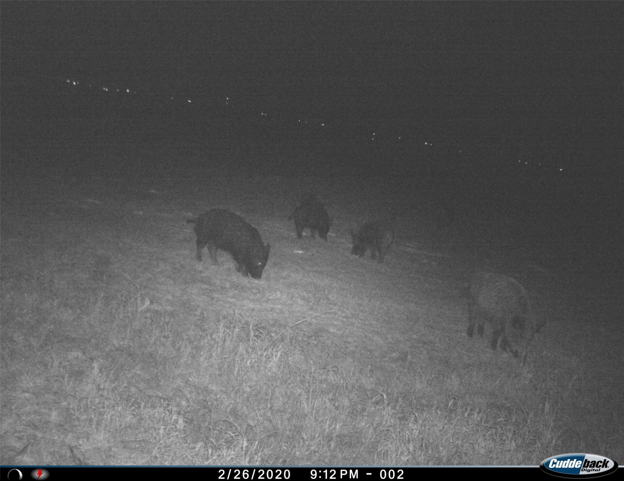 Tbd Fm 367 Electra TX 76360
