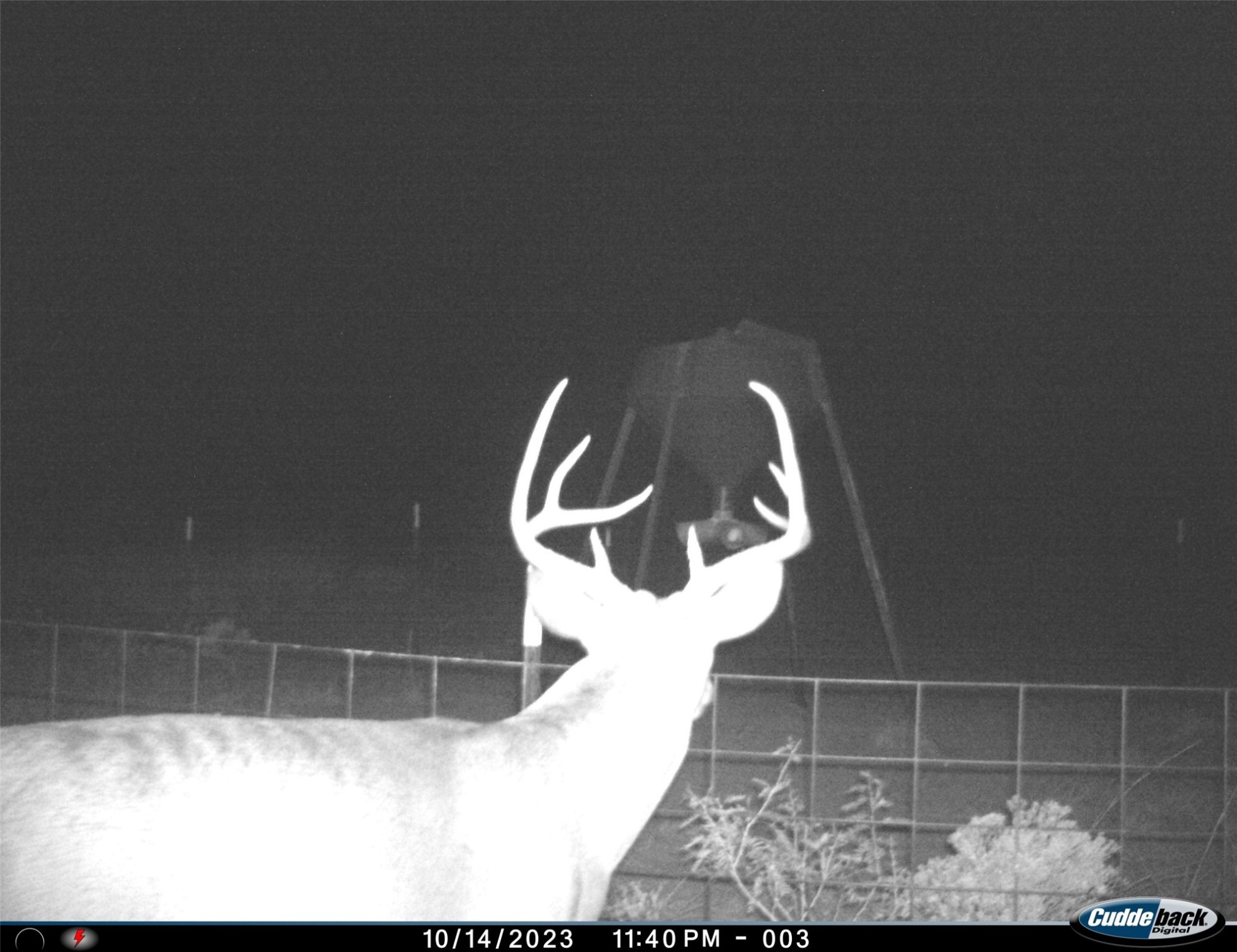 Tbd Fm 367 Electra TX 76360