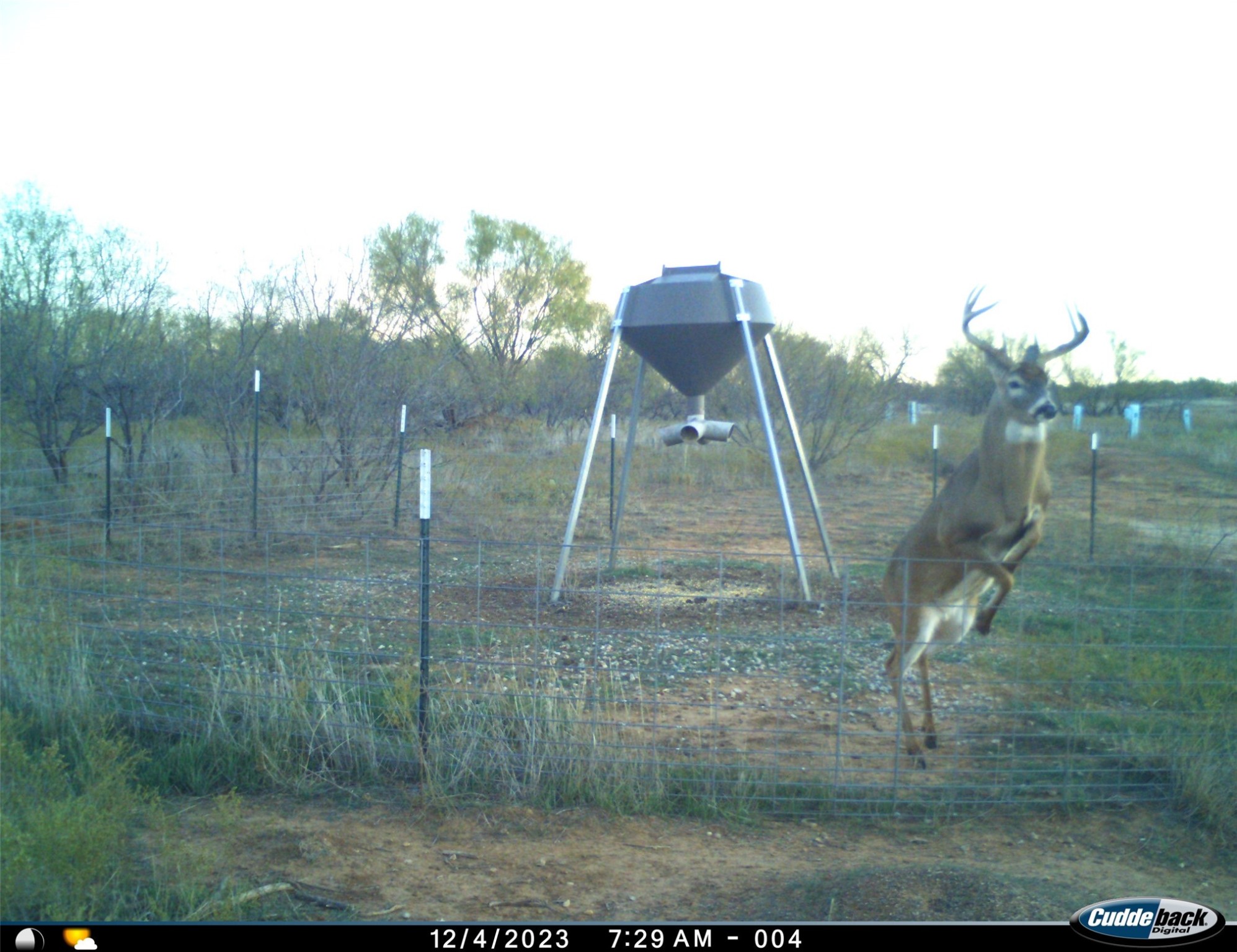 Tbd Fm 367 Electra TX 76360