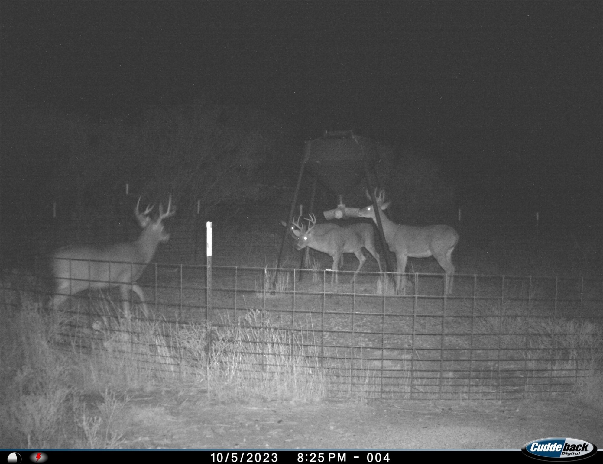 Tbd Fm 367 Electra TX 76360
