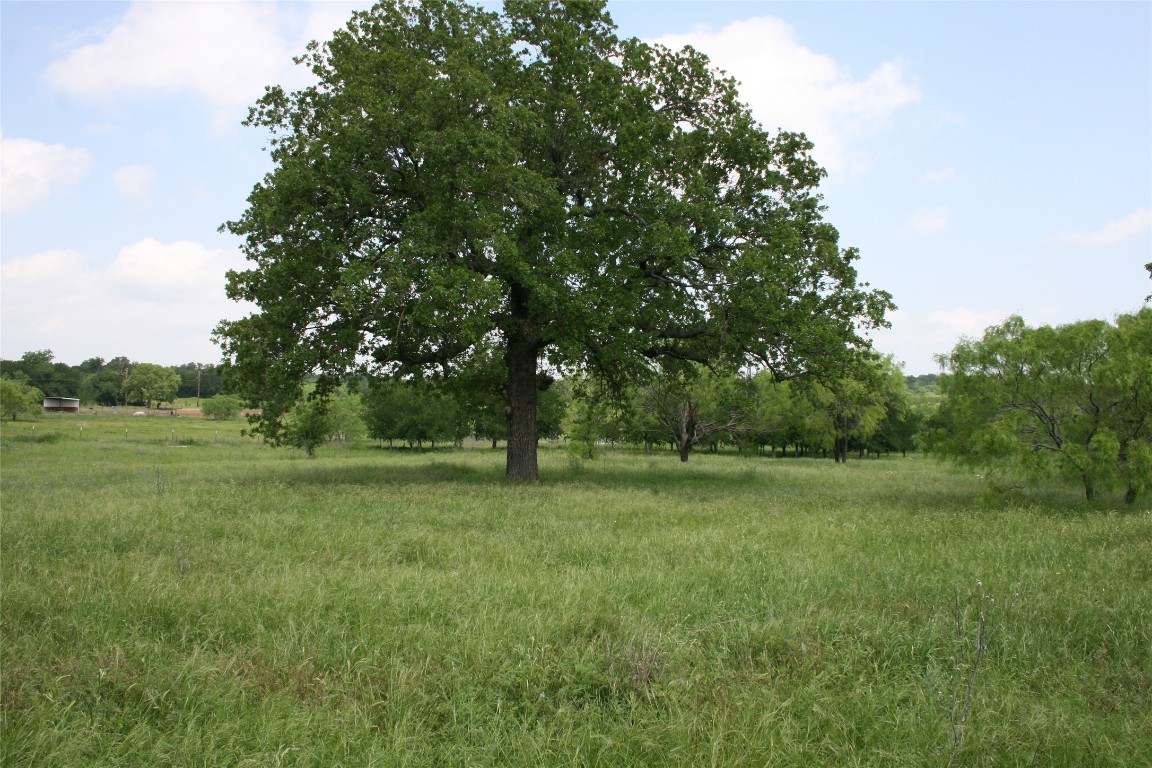 190 Brazos West Drive Mineral Wells TX 76067