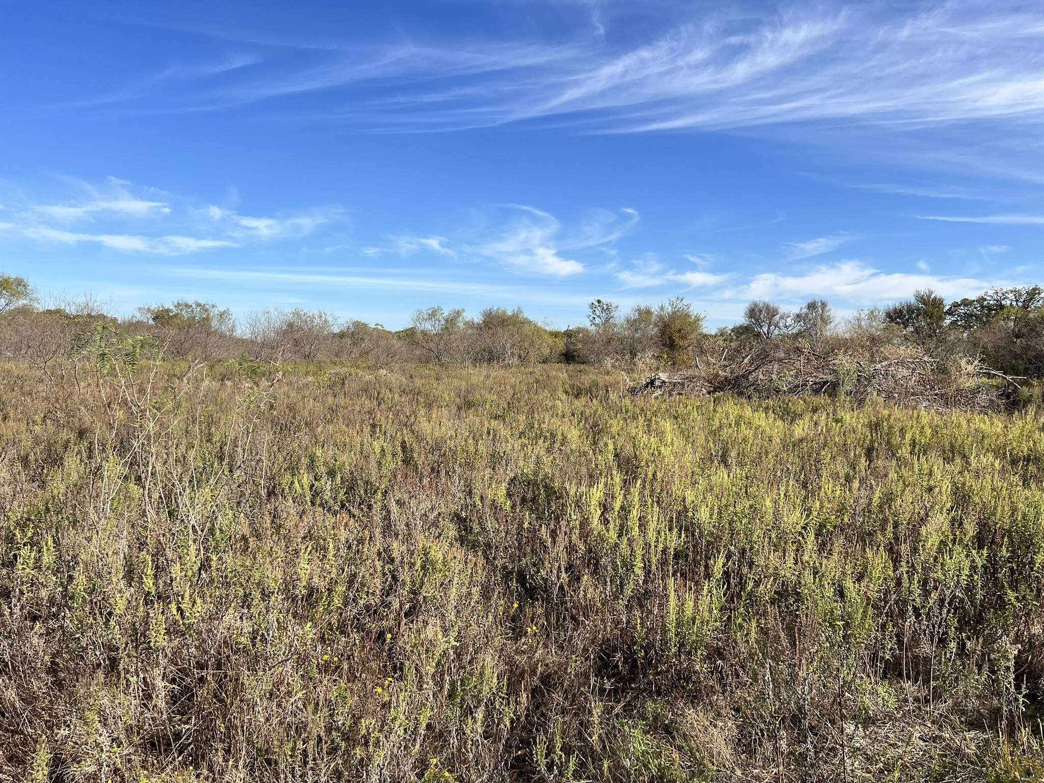 Tbd Wesley Chapel Road Gholson TX 76705